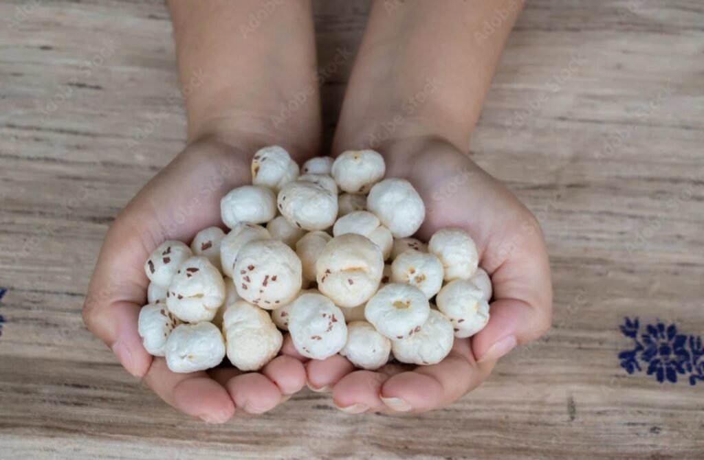 Fresh makhana cultivation at an Indian fox nut farm