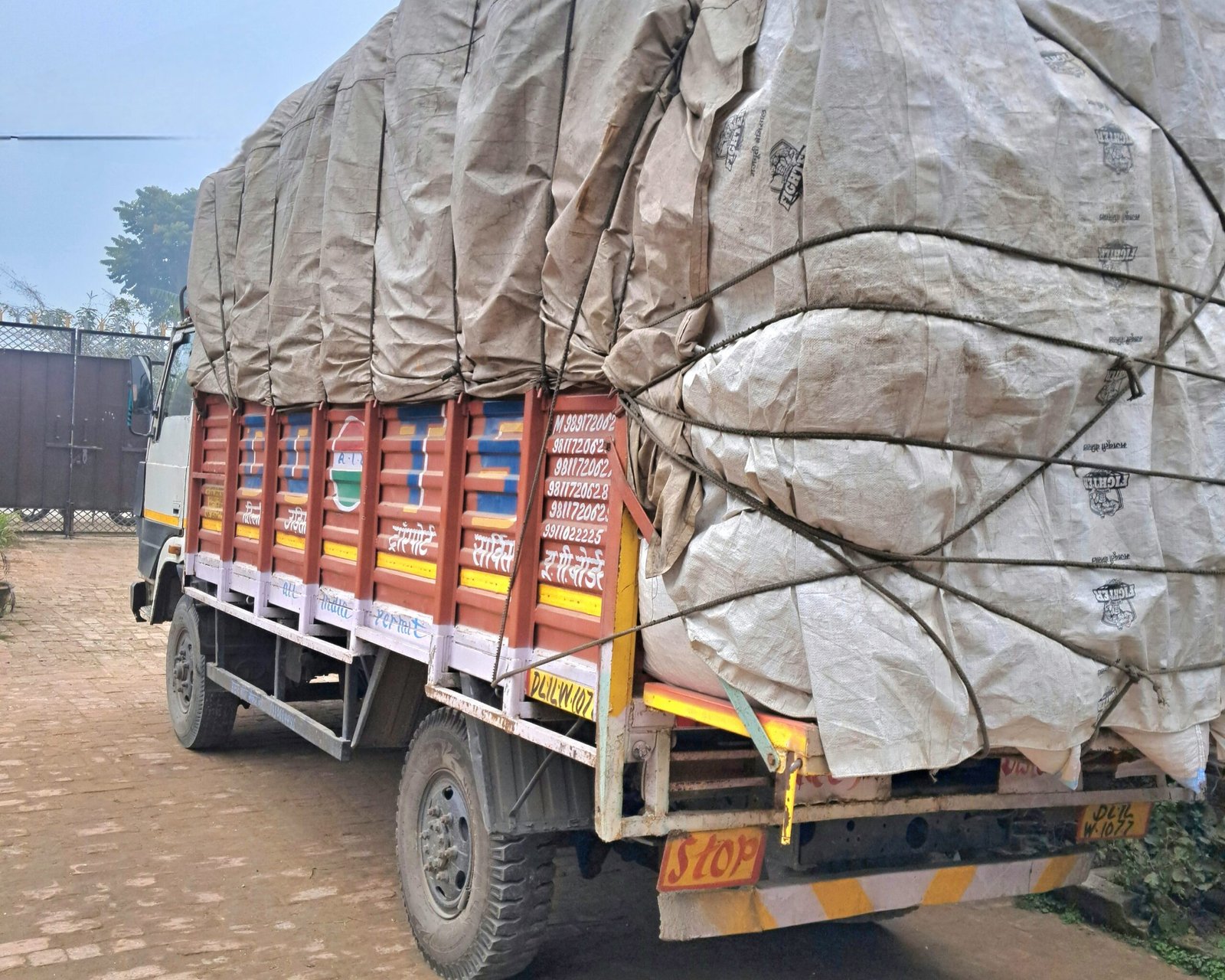 Wholesale Makhana Supplier in Bihar | Bulk Buying Guide